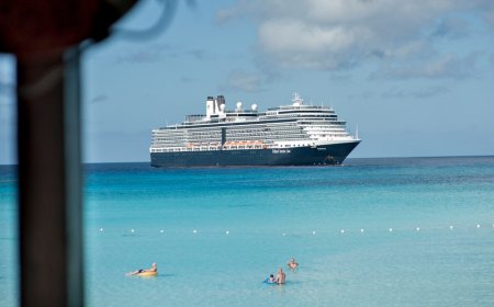 CDC reports first cruise norovirus outbreak this year, as nearly 90 people are infected