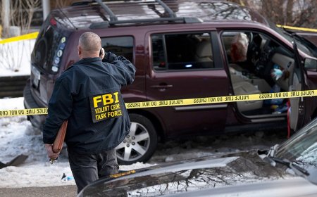 Dems who praised cop for killing J6 protester now condemn ICE for shooting MN agitator