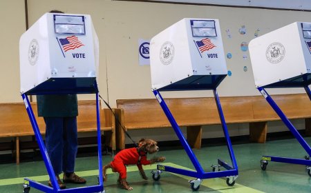 Delegate-heavy New York moves to shake up voting primary schedule, chasing 'influence'