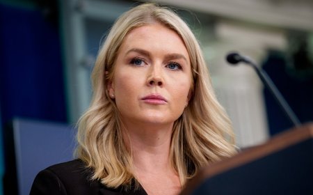 Leavitt accuses Democrats of 'lying from the very beginning' about Minneapolis ICE shooting