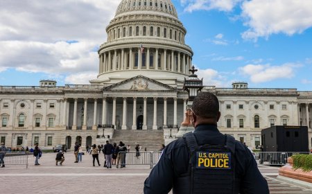 Ex-congressional IT aide accused of stealing 240 government phones and selling them at pawn shop