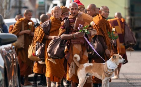 Buddhist monks walking 2,300 miles from Texas to DC go viral with 1M+ social media followers