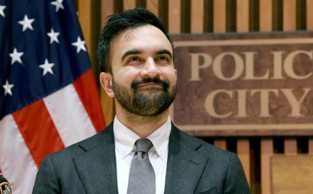 Mamdani calls ICE detention of NYC employee 'assault on our democracy'