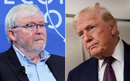 Foreign ambassador to leave US post after Trump criticism