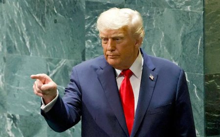 Trump admin exit from UN, international organizations raises question of who’s next