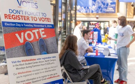 Playing catchup to Republicans, Democrats launch 'largest-ever' partisan national voter registration campaign
