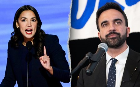 Minnesota ICE shooting sparks defamation debate as public figures call agent’s actions ‘murder’