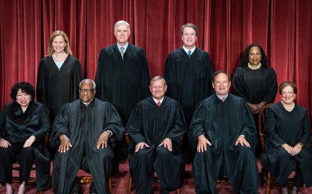 Conservative justice swipes at DOJ in trans sports case: 'I don't think you're a PhD in this stuff'