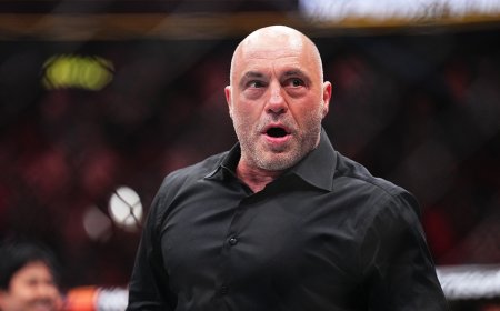 Joe Rogan calls Minnesota ICE shooting footage 'horrific,' 'very ugly' to shoot someone in the face