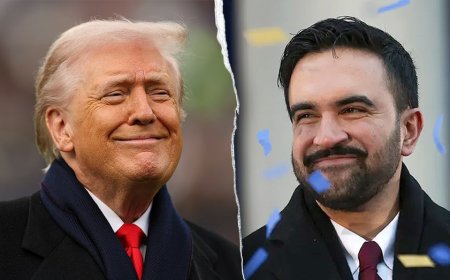 Mamdani, President Trump have been texting at least twice a week — as unlikely bromance blossoms: sources