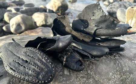 Hundreds of mysterious old shoes wash up on beach during cleanup, baffling officials