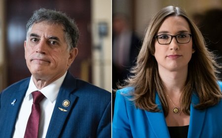 House Republican recognizes transgender Dem Sarah McBride as 'the gentleman from Delaware'