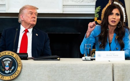 US sees net negative migration for first time in decades amid Trump admin enforcement, economists say