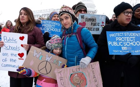 Teachers union slams 'Trump regime,' claims ICE murdered Minneapolis agitator in message to supporters