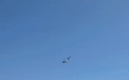 Florida paraglider survives 500-foot plunge into ocean