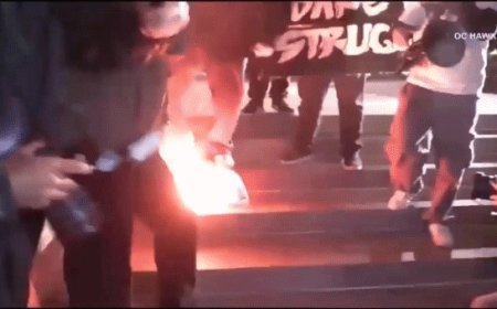 Anti-ICE agitators burn American flag outside California federal building