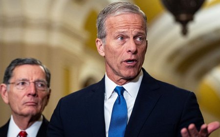 Senate GOP moves to block Dems' war powers push, preserve Trump's authority in rare move