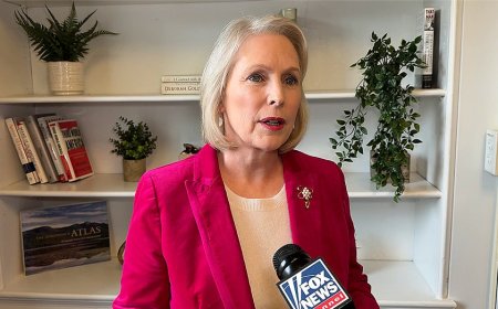 Democrats eye narrow path to capture Senate majority, but one wrong move could sink them