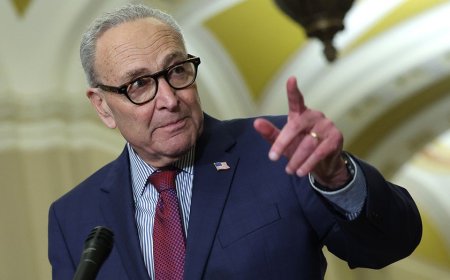 Schumer backs plan to fly Democratic senators, NYC cops to Minneapolis to confront ICE