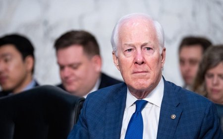 GOP senator's Stop Fraud by SOMALIA Act would force Minnesota fraudsters to repay stolen taxpayer funds