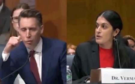 Hawley, Moody react after heated Senate abortion hearing exchange: 'Can men get pregnant?'