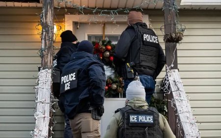Minnesota Dem compares ICE operations to 1930s Germany, adding 'nothing should be off the table' to stop it