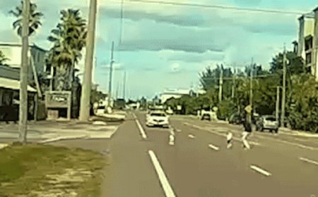 Man runs into Florida street to save two young children who wandered away from rental home