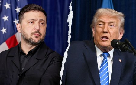 Zelenskyy holding up Russia-Ukraine peace process, Trump says