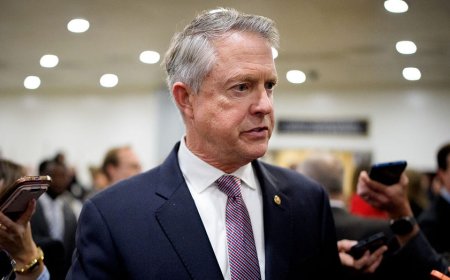 GOP senator pushes Trump's 10% credit card rate cap as party leaders push back