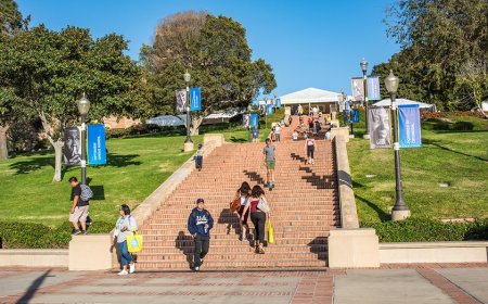 UCLA DEI director says he was fired over controversial Charlie Kirk posts: 'Glad when bigots die'