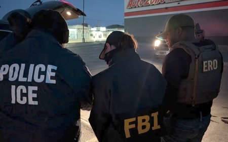 Illegal immigrant indicted in assault on ICE agents in Texas