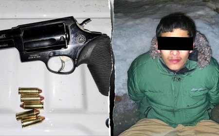 DHS arrests armed man with extra ammunition for assaulting federal officer at late-night Minneapolis riot