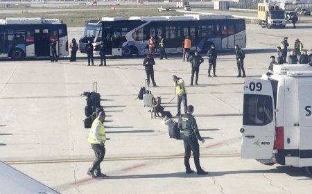 Passenger’s Wi-Fi name triggers bomb scare, forces Turkish Airlines emergency landing