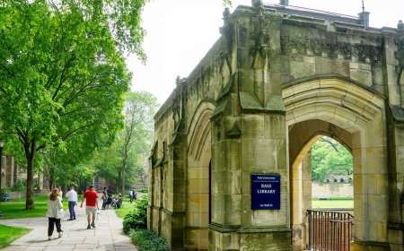 0% of Yale professor donations went to Republicans in 2025: study