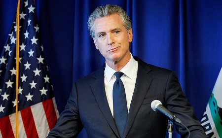 Gavin Newsom walks back claim Minnesota ICE operations were 'state-sponsored terrorism'