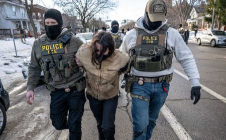 Red state commissioner hit with set of demands from GOP senator over ‘disgusting’ ICE ‘terrorist’ declaration