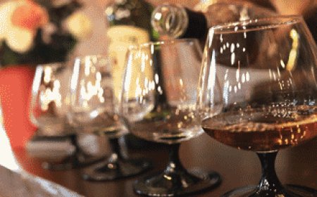 Bartenders reveal what they actually drink when they're off duty: 'Truly great shot'