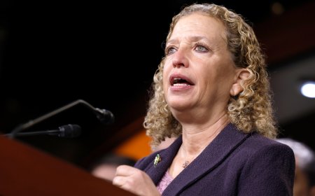 Wasserman Schultz rejects former Obama aide's essay arguing Dems 'will lose in 2028' without changes