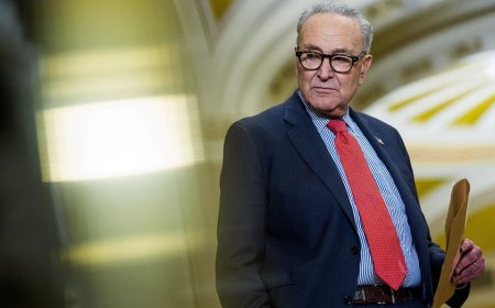 Schumer reveals 'bipartisan' plans to reverse DOGE cuts as lawmakers work through funding push