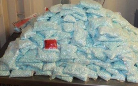 DAVID MARCUS: Secure border brings plummeting overdose deaths, but don't expect Trump to get credit