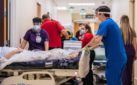 Illegal immigrants rack up $1B-plus in Texas hospital costs in fiscal year 2025; total likely higher: report