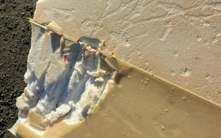 Surfer says shark attack felt 'like being hit by a car' as board bitten in half: reports