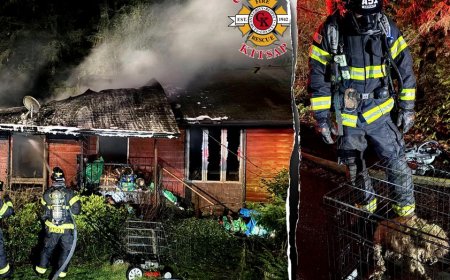 Dozens of dogs killed in fire at home of ‘breeder’ in Washington state, firefighters rescue 3 from flames
