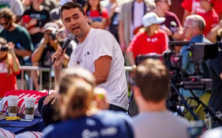 Professors were disciplined for vulgar posts after Charlie Kirk's assassination: Where are they now?