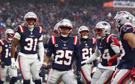 Patriots return to AFC Championship after forcing 5 Texans turnovers in heavy wintry mix