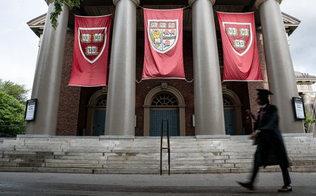 Harvard student exposes 'systematic' liberal bias forcing conservatives to avoid certain classes