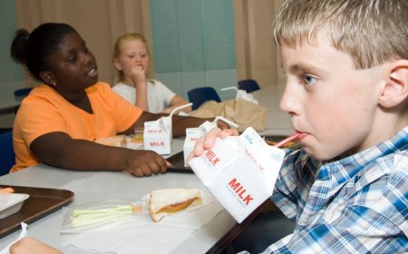 SEC BROOKE ROLLINS: Trump brings whole milk back to schools, undoing Obama’s war on real food