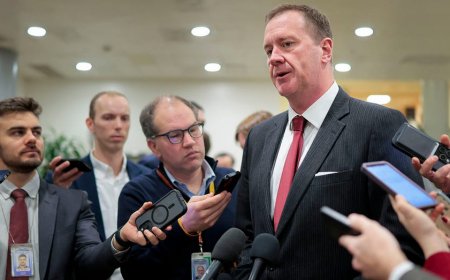 White House-backed GOP bill would revoke citizenship after Somali fraud scandal