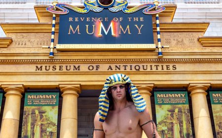 Universal Orlando visitor dies after riding Revenge of the Mummy roller coaster, state report says