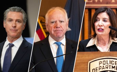 House Republicans call Minnesota fraud probe 'tip of the iceberg' as more blue states face scrutiny